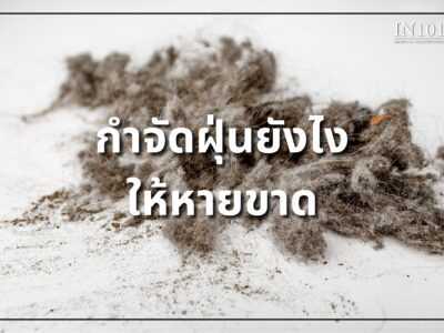 กำจัดฝุ่นยังไงให้หายขาด by IN101Design