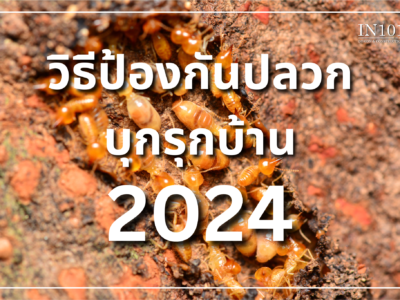 วิธีป้องกันปลวก บุกรุกบ้าน 2024 By IN101Design